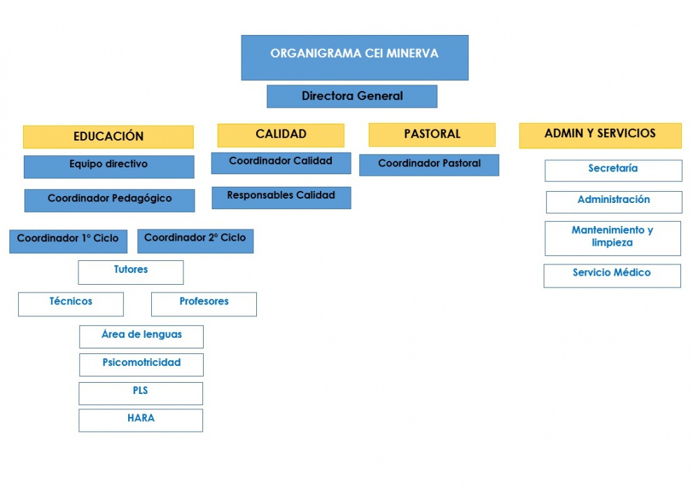 Organigrama Minerva